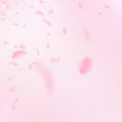 Sakura petals falling down. Romantic pink flowers corner. Flying petals on pink square background. Love, romance concept. Breathtaking wedding invitation.