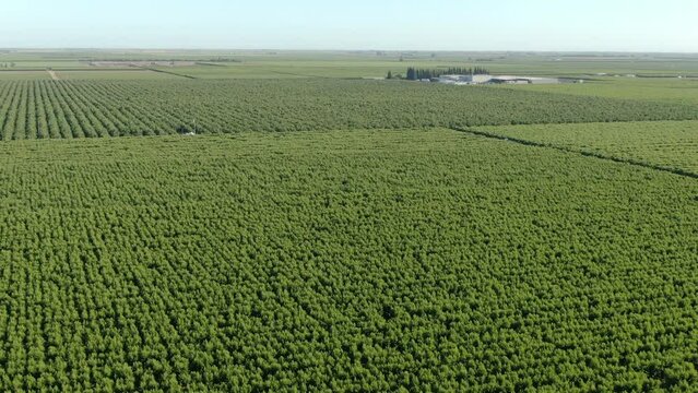 San Joaquin Valley Agriculture Aerial Shot in Fresno Rotate R California USA