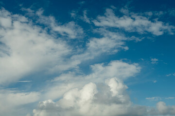 White clouds o blue sky. Bird or dragon shape. Abstract nature background