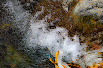 waterfall in the forest