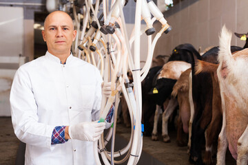 Confident farmer in white coat preparing equipments for automatic milking of goats on farm