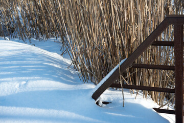 metal fence, dried reeds, and snow on the ground