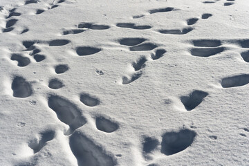 abstract winter scene with footprints in the snow