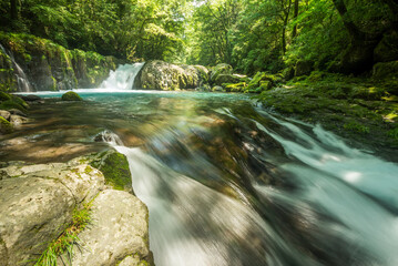 黎明の滝をバックに菊池渓谷の流れ