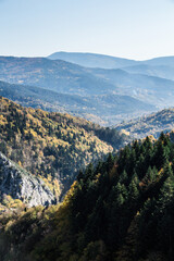 Naklejka premium mountain and forest landscape from nature
