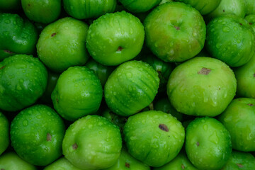 green healthy garden egg fruit in a market