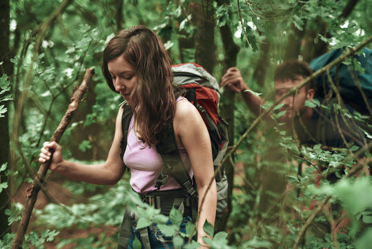 Two friends moving through a forest on a hiking vacation, using walking stick branches, guiding their way through the woods