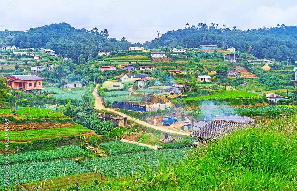 Poster Agriculture region of Sri Lanka, Nuwara Eliya