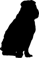 Shar Peï - Silhouette de sharpei, vecteur sur fond transparent 