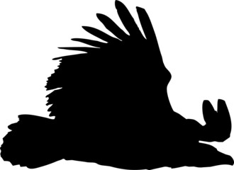 Vautour fauve - vecteur noir sur fond transparent - silhouette