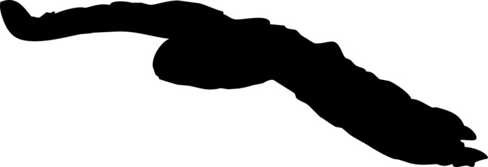 Animal de proie en vol, chouette lapone ou hibou, vecteur noir sur fond transparent
