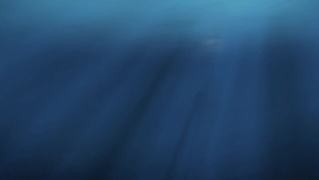 Submarine Gliding Towards Camera Animation