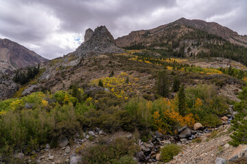 Yosemite National Park