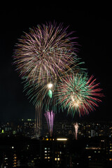 花火Firework -2