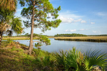  Fish Creek on the Gulf of Mexico near  Steinhatchee  Florida