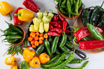 A top down view of a variety of chili peppers.