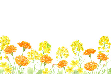 黄色とオレンジ色の花の背景　水彩イラスト - obrazy, fototapety, plakaty