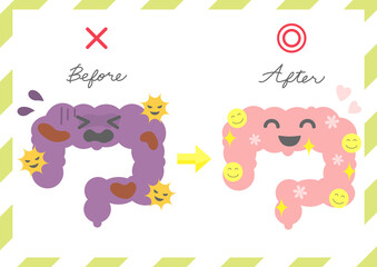 腸　腸活のビフォーアフター