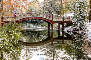 bridge in the park