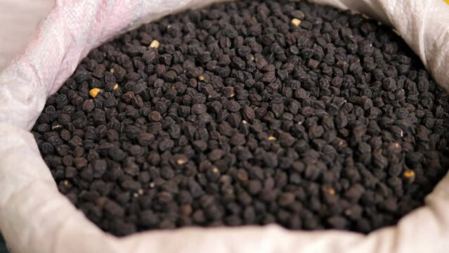 The black Chickpea, a superb legume, with little-known dietary properties.