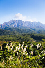 恐竜公園から見る秋晴れの桜島	