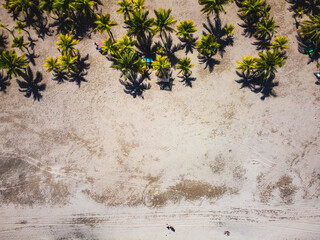 Tela honduras from the drone view