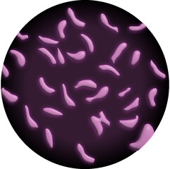 トキソプラズマ