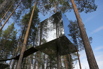 Fototapeta na wymiar glass tree house in sweden
