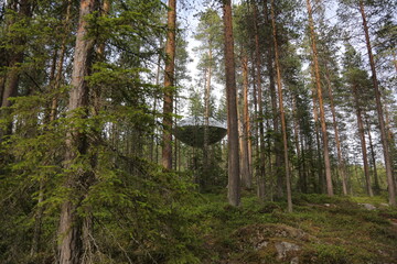 tree house in sweden