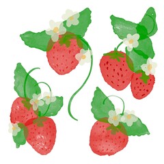 水彩画。水彩タッチで描いたいちごのイラストセット。いちごと草木の水彩画。Watercolor. Strawberry illustration set drawn with a watercolor touch. Watercolor painting of strawberries and plants.