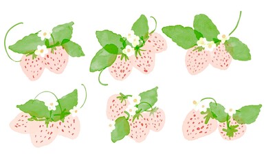 水彩画。水彩タッチで描いたいちごのイラストセット。いちごと草木の水彩画。Watercolor. Strawberry illustration set drawn with a watercolor touch. Watercolor painting of strawberries and plants.