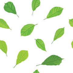 Greenery Leaves Pattern in illustration graphic vector