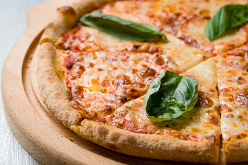 Italian pizza Margherita with cheese, tomato sauce and basil on wooden board on grey table macro close up