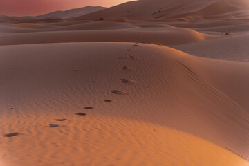 Fototapeta na wymiar The Colors Of The Sky Glow As The Sun Rises On The Sahara Desert In Morocco, Arica