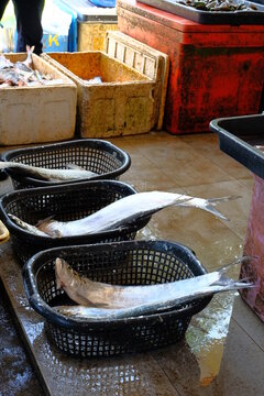 Image of fresh fish displayed at a market in Parit Karang, Johor, Malaysia.