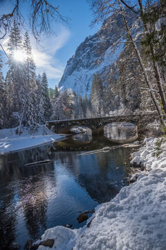 Winter Wonderland