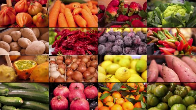 Colored composition with assorted raw organic vegetables