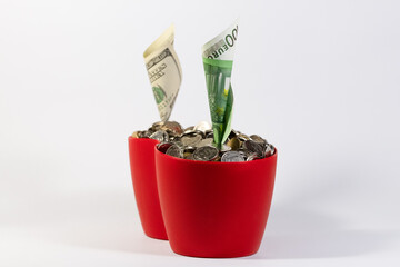 Seedlings of euro and dollar banknotes in a flower pot.Leadership concept.