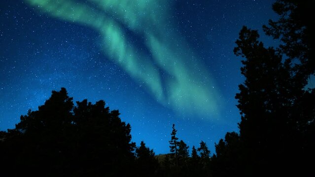 Aurora Borealis Green Loop Winter Mountain Forest Blue Sky Northern Lights