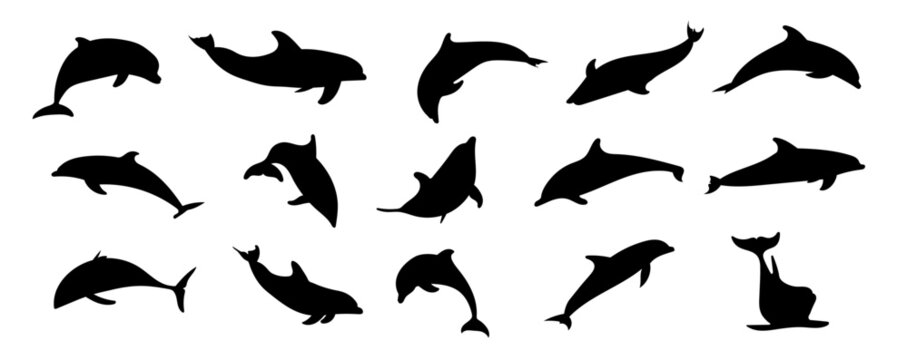 set of black silhouette of dolphin on a separate white background