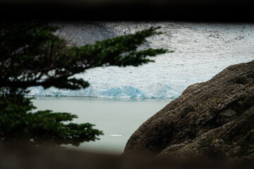 Glaciar grey