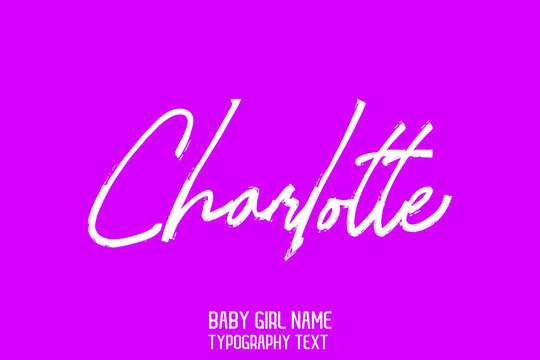 Charlotte Woman's Name Lettering Sign in Stylish Cursive Calligraphy Text on Pink Color Background