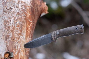 A survival knife sticking out of a tree that is covered in termite trails.