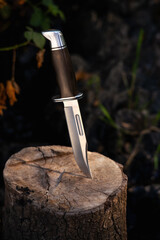 A classic looking fixed blad hunting knife with the blade sticking out of a tree stump in a forest.