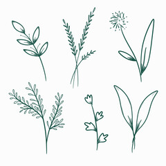 hand drawn flower and leaves collection © madaniaart