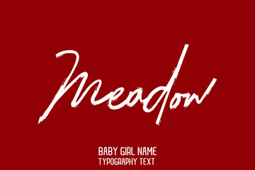Girl Baby Name Meadow Beautiful Handwritten Inscription Bush Lettering Baby Girl Name on Maroon Background 