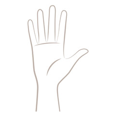 女性の右の手のひら