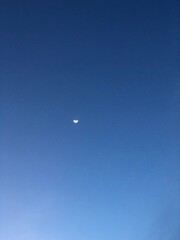 airplane in the sky