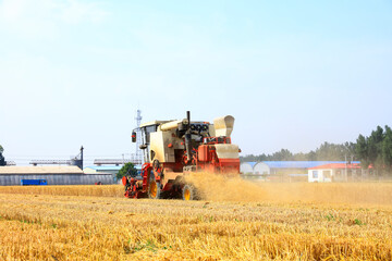 Fototapeta na wymiar combine harvester working on a wheat field