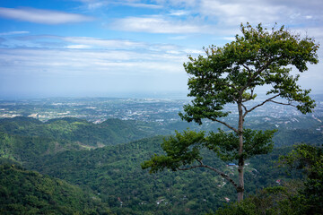 Fototapeta na wymiar 山の上からの景色：フィリピンのセブ